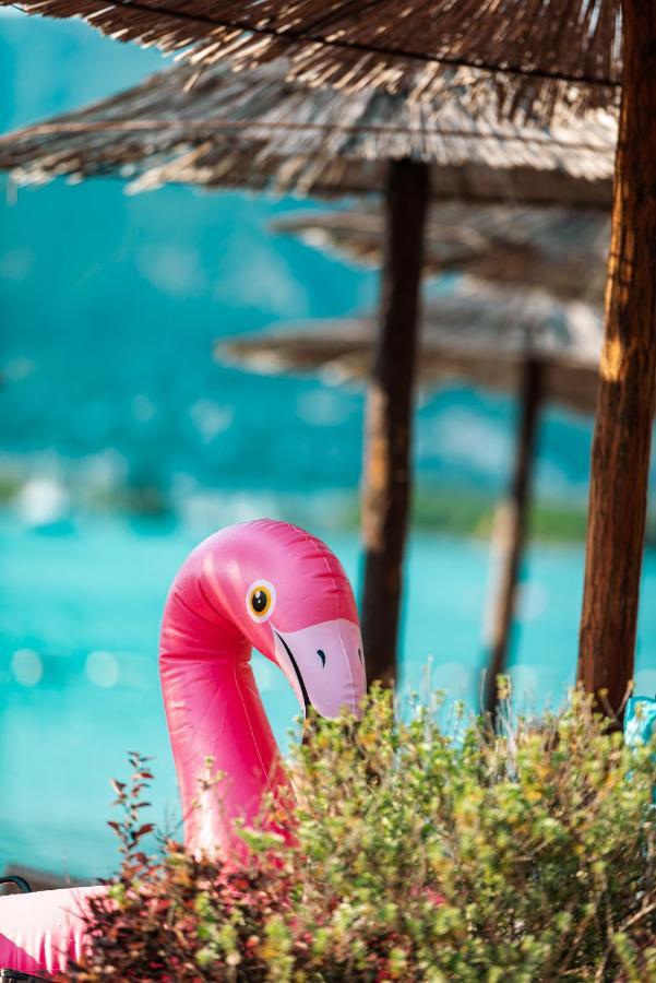 Aquata Apartments Tivat Bagian luar foto